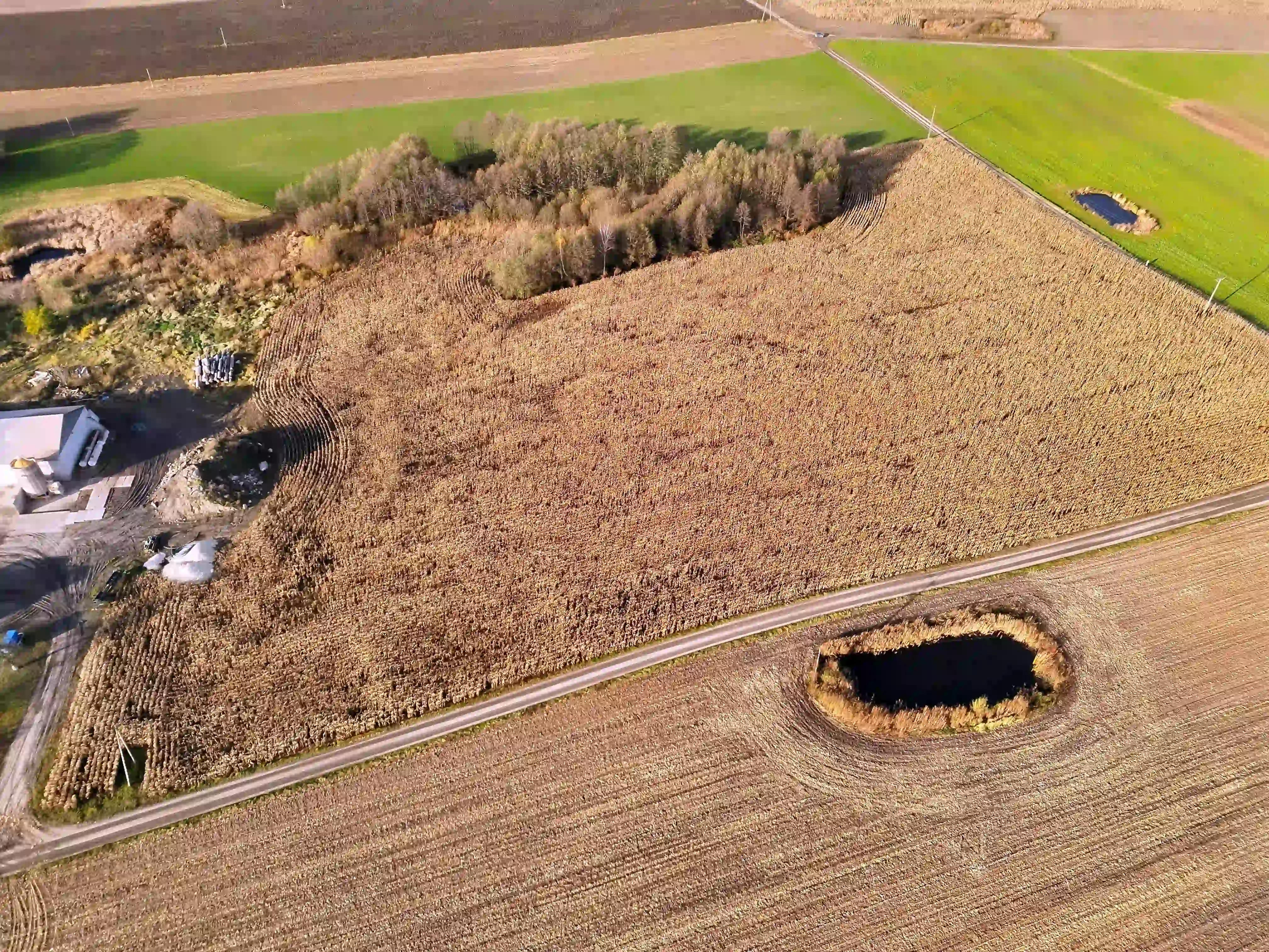 Widok pola kukurydzy objętego realizacją