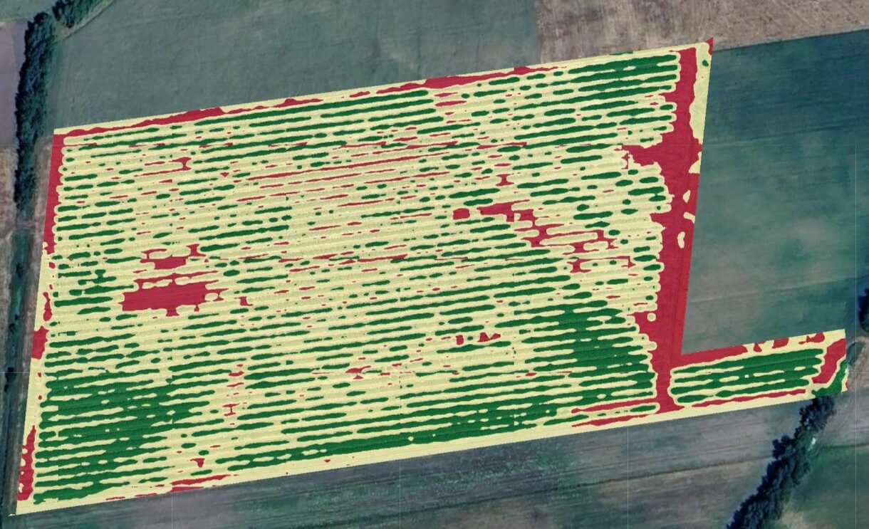 Mapa NDVI z drona przedstawiająca przestrzenne zróżnicowanie uprawy