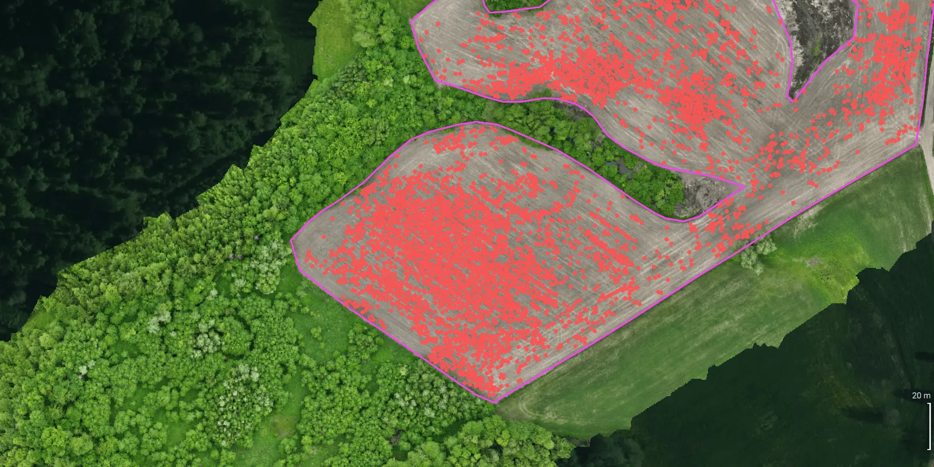Ortofotomapa z oznaczonymi szkodami od dzików w uprawach rolnych – analiza Sky Agro Tech