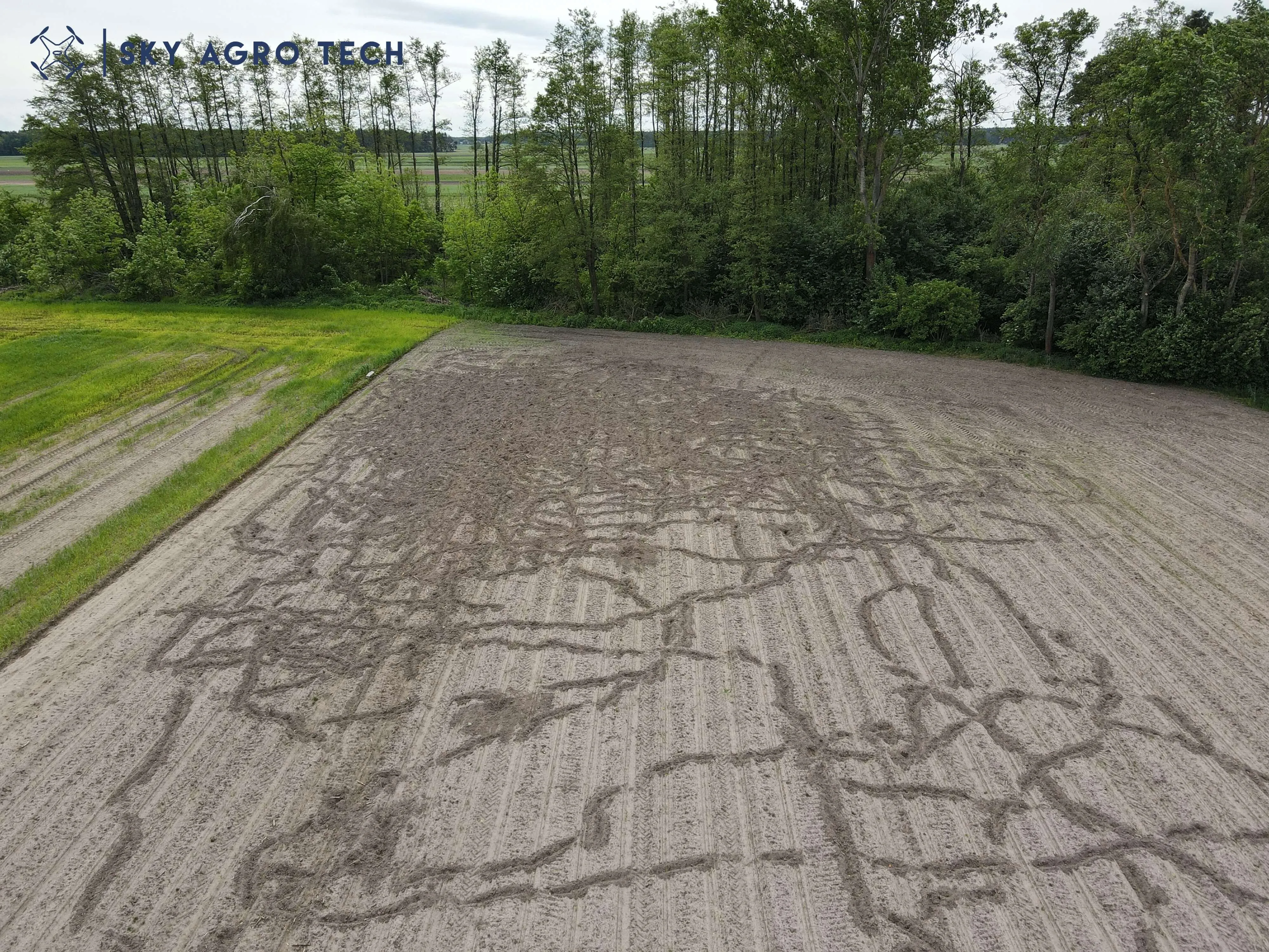 Szkody w kukurydzy po zasiewach udokumentowane podczas nalotu dronem Sky Agro Tech