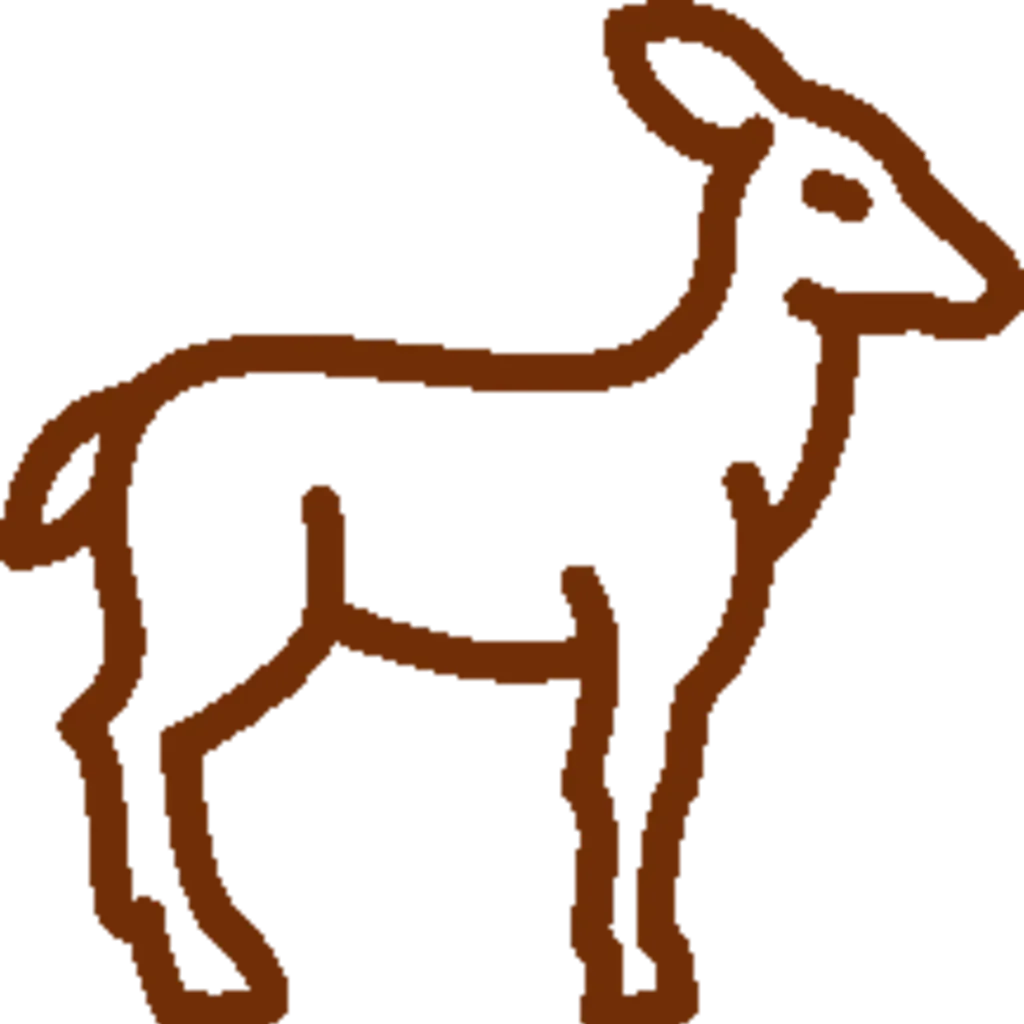 Sarna – szkody łowieckie w uprawach