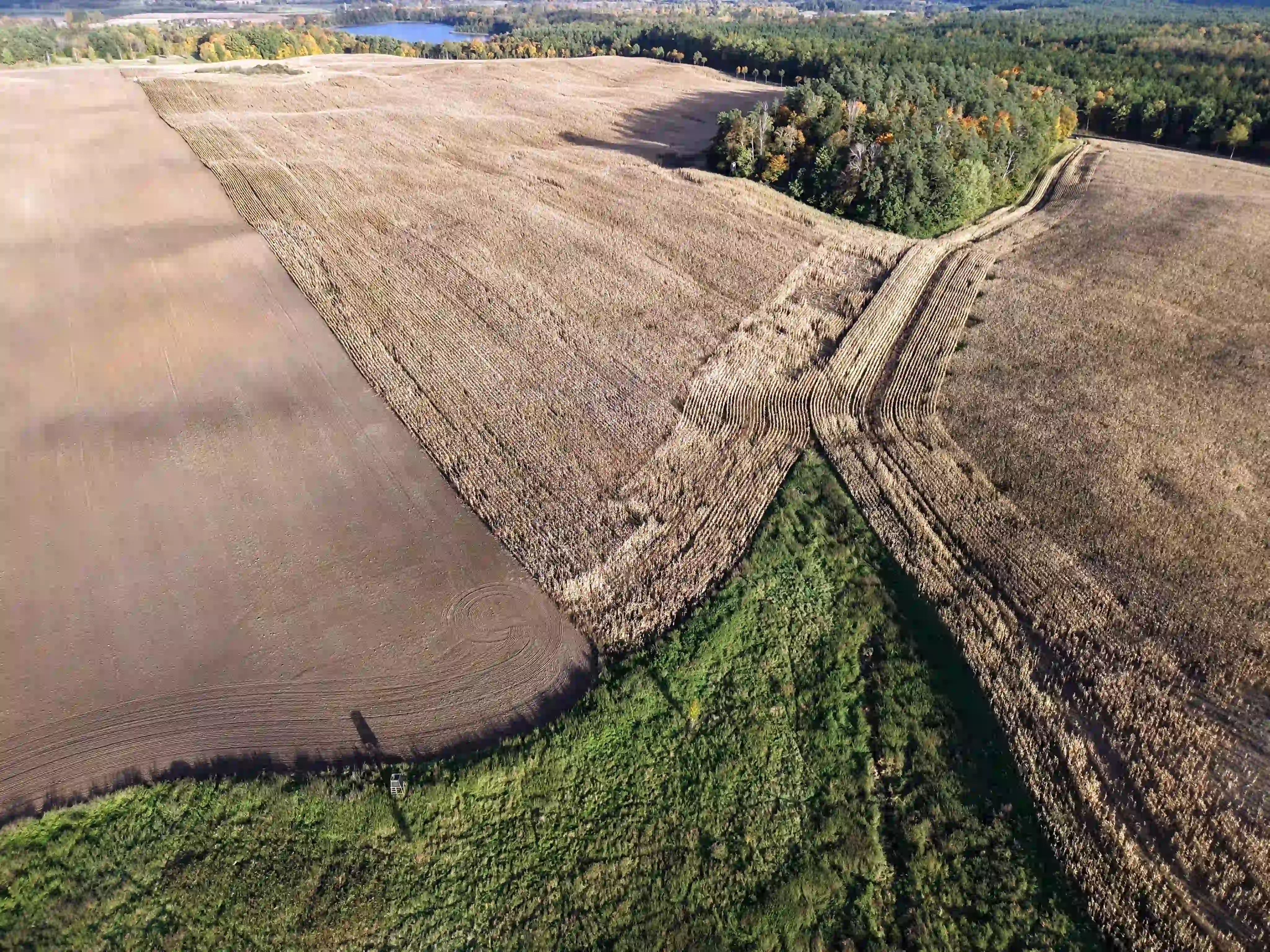 Widok z drona na rozległe powierzchnie kukurydzy objęte analizą