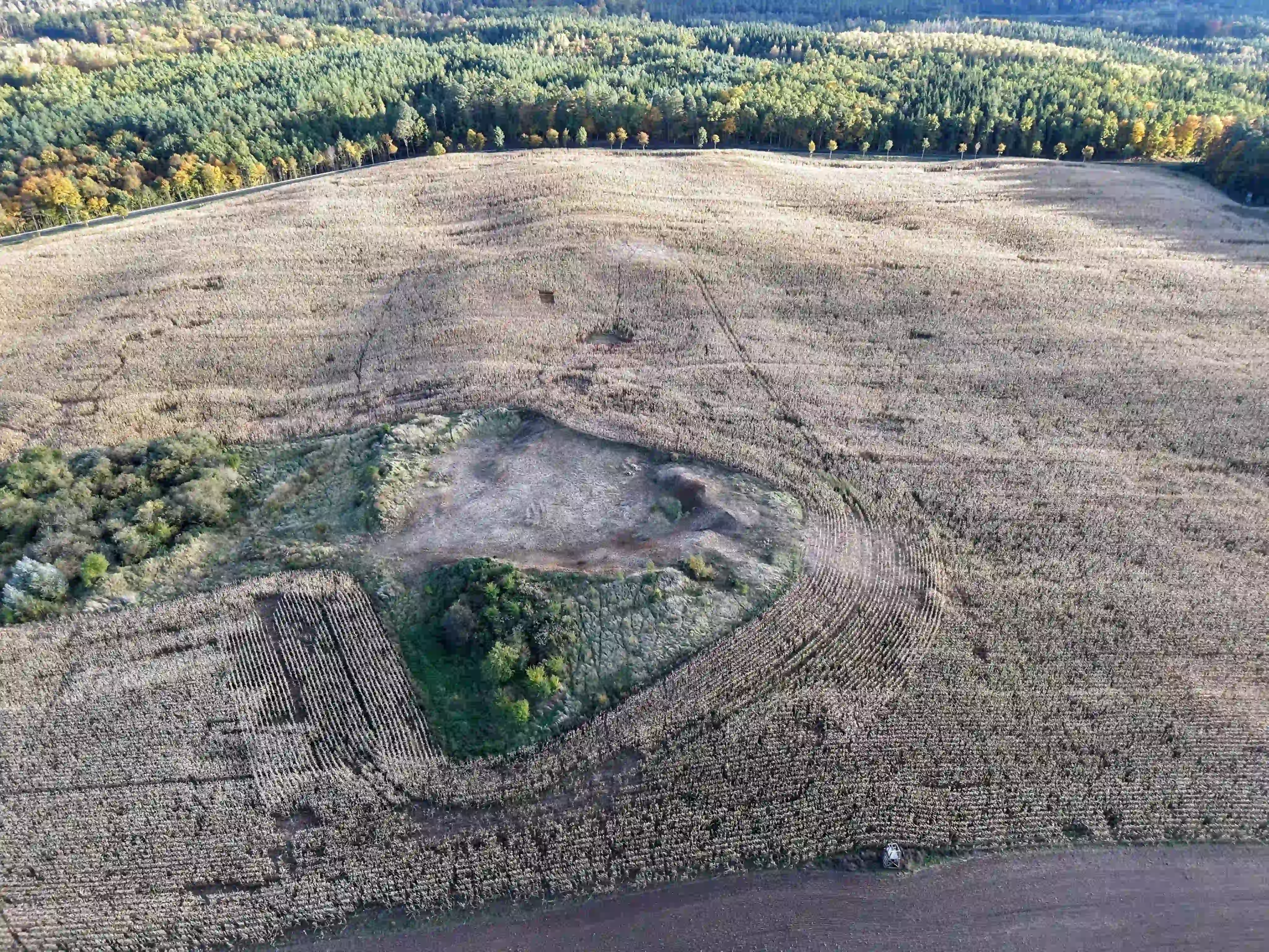 Nieregularne zmiany w łanie kukurydzy widoczne na zdjęciu z drona